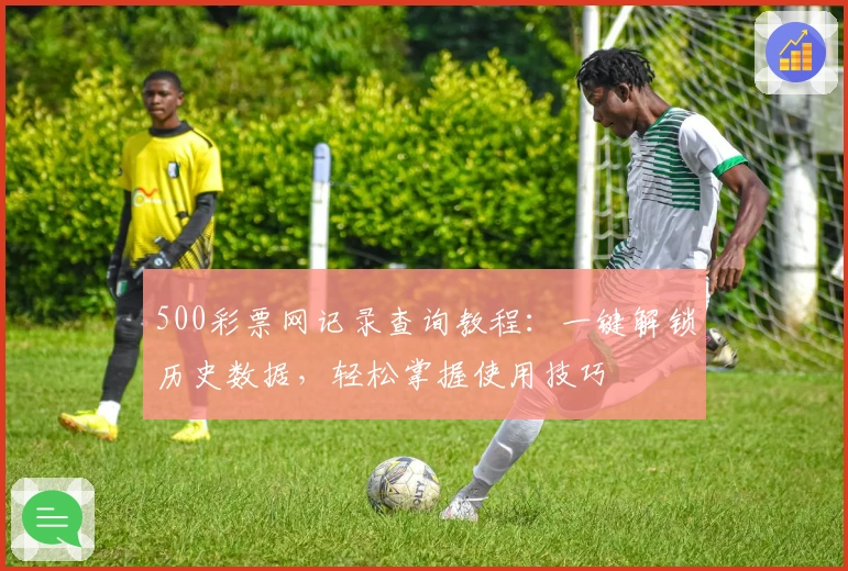 500彩票网记录查询教程:一键解锁历史数据,轻松掌握使用技巧