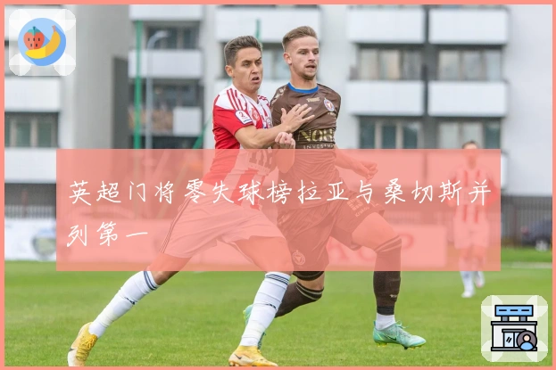 英超门将零失球榜拉亚与桑切斯并列第一