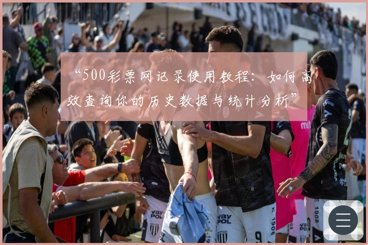 “500彩票网记录使用教程：如何高效查询你的历史数据与统计分析”