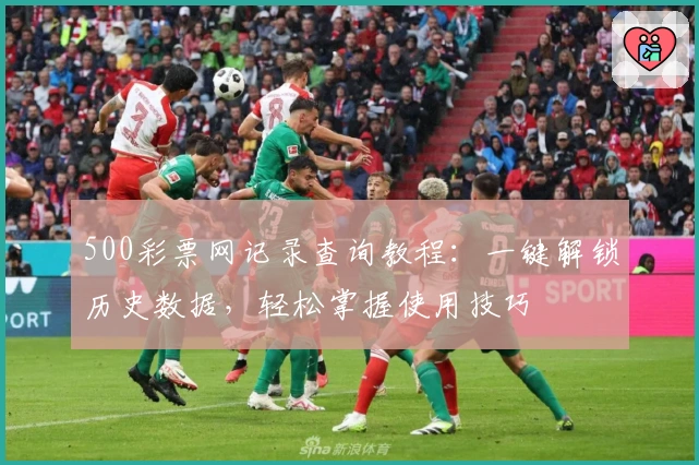 500彩票网记录查询教程：一键解锁历史数据，轻松掌握使用技巧